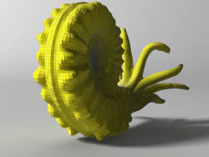 ammonite with complete underwater scene 3D Model