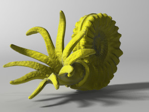 ammonite with complete underwater scene 3D Модель
