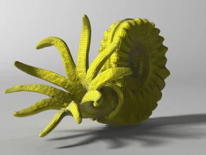ammonite with complete underwater scene 3D Model