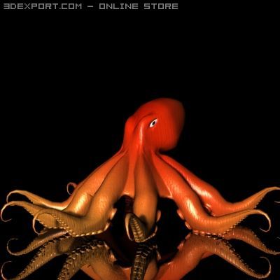 octopus 3d Modello 3D .c4d .max .obj .3ds .fbx .stl .blend 