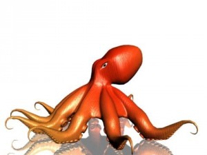 octopus 3d Modello 3D