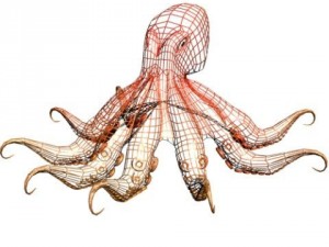 octopus 3d Modello 3D