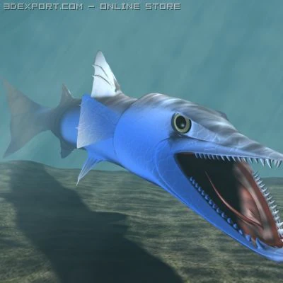 killer barracuda 3d 3D Model .c4d .max .obj .3ds .fbx .stl .blend 