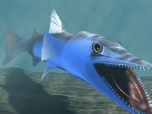 killer barracuda 3d 3Dモデル