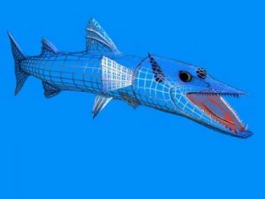 killer barracuda 3d 3D Model