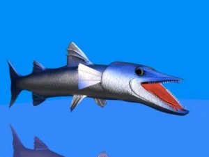 killer barracuda 3d 3D Model