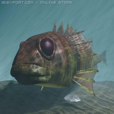 rascasse  lion fish 3d 3D Model .c4d .max .obj .3ds .fbx .stl .blend 