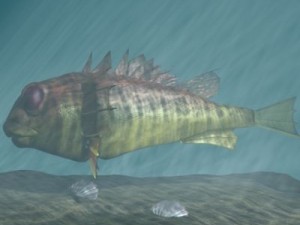 rascasse  lion fish 3d Modelo 3D