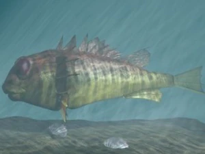 rascasse  lion fish 3d 3D Model