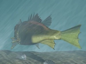 rascasse  lion fish 3d 3D Model