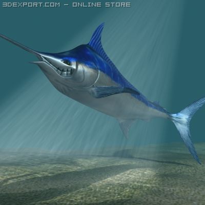 blue marlin toon fish 3d Modèle 3D .c4d .max .obj .3ds .fbx .stl .blend 