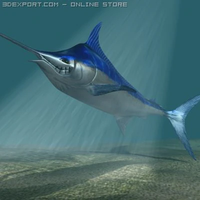 blue marlin toon fish 3d 3D Model .c4d .max .obj .3ds .fbx .stl .blend 