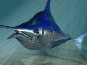 blue marlin toon fish 3d 3D Model