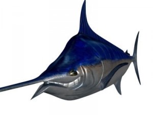 blue marlin toon fish 3d Modèle 3D