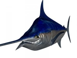 blue marlin toon fish 3d 3D Model