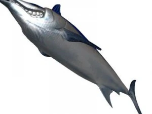 blue marlin toon fish 3d 3D Model