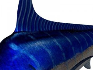 blue marlin toon fish 3d Modèle 3D