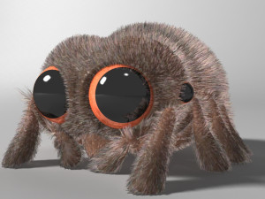 cartoon spider rigged 3D Model