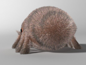 cartoon spider rigged 3D Model