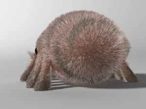 cartoon spider rigged 3D Model