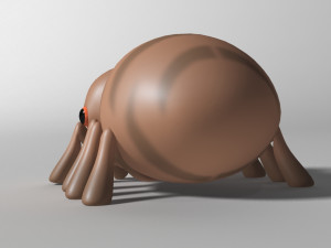 cartoon spider rigged 3D Model