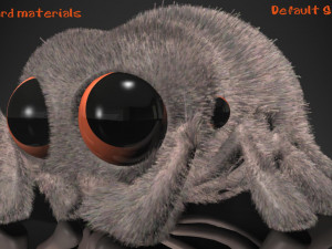 cartoon spider rigged 3D Model