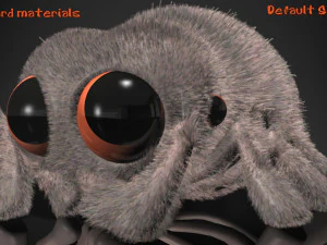 cartoon spider rigged 3D Model