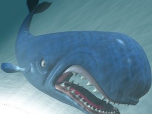 monstro cartoon whale rigged Modelo 3D