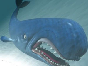 monstro cartoon whale rigged 3D Model