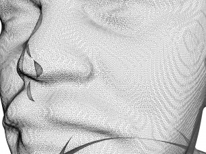 vladimir lenin bust 3Dモデル