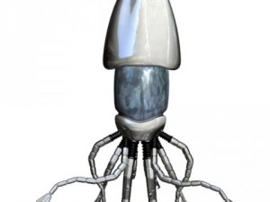 robot squid rigged 3D मॉडल