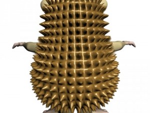 cartoon hedgehog rigged Modello 3D