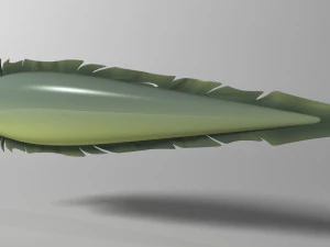 cartoon moray eel rigged 3D Model