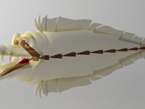 cartoon moray eel rigged 3D Model