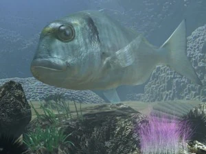 model sea bream fish rigged with underwater scene 3D Model