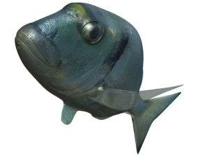 model sea bream fish rigged with underwater scene 3D Model