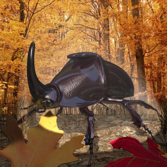 rhinoceros beetle rigged 3Dモデル .c4d .max .obj .3ds .fbx .stl .blend 