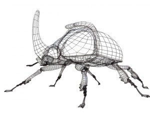 rhinoceros beetle rigged 3Dモデル