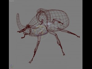 rhinoceros beetle rigged 3Dモデル