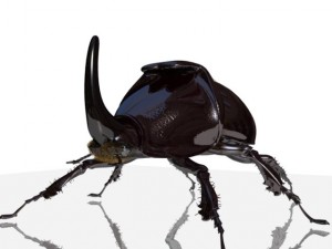rhinoceros beetle rigged 3Dモデル