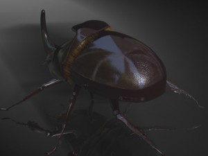 rhinoceros beetle rigged 3Dモデル