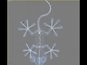 cartoon gecko rigged 3D Model