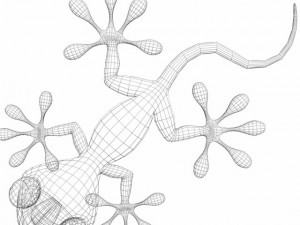 cartoon gecko rigged 3D Model