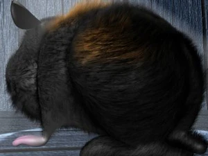 cartoon hamster rigged 3D Model