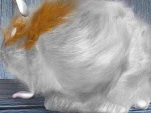 cartoon hamster rigged 3D Model