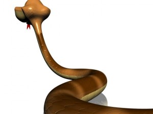 cartoon snake rigged 3D Model