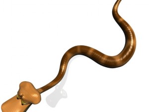 cartoon snake rigged 3D Model