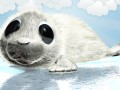 cartoon baby seal rigged Modelo 3D