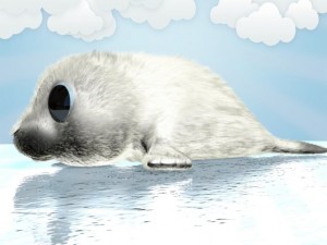 cartoon baby seal rigged 3Dモデル