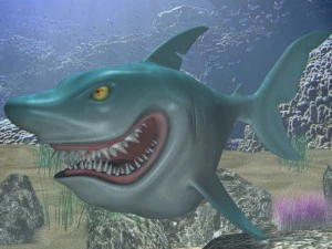 cartoon shark rigged 3D Model